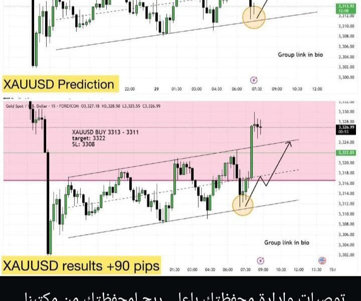 التوصيات الذهبية وإدارة محفظتك بالاسهم السعودية والأمريكية والعملات والذهب باعلي ربح من مكتبنا الاستشاري