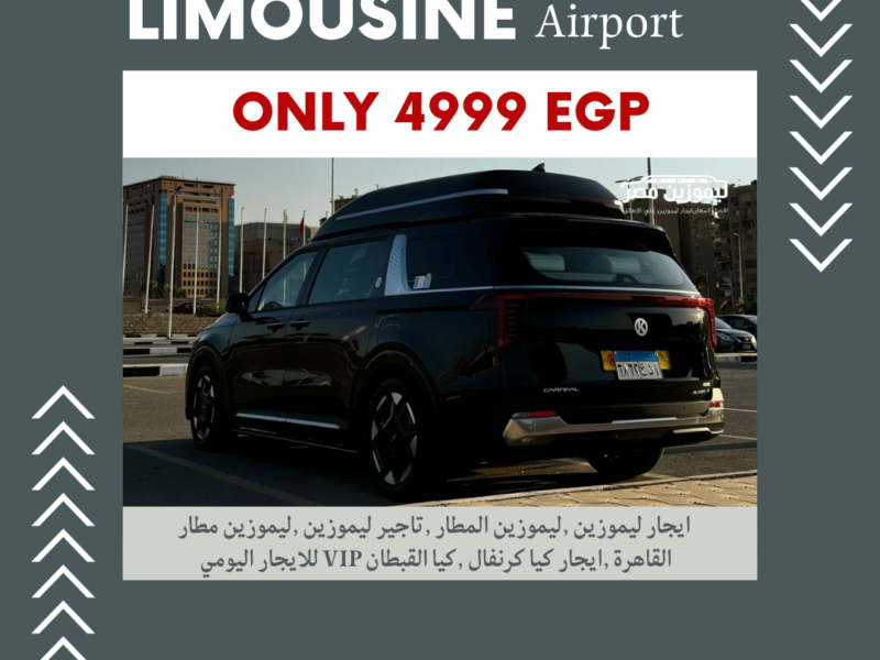 Kia Carnival VIP 2025 with Driver for Cairo Airport Limo & Sightseeing Tours