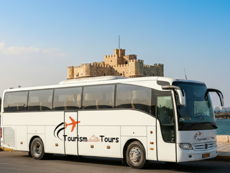 إيجار أتوبيس 50 راكب سياحي.. عملاق الفخامة لرحلاتك الجماعية