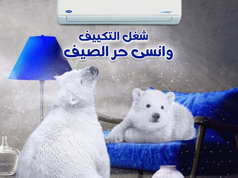 كاريير – الحل المثالي لأجواء مريحة