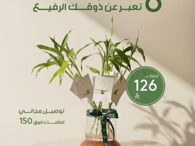 هدايا نباتات العيد من موطن النباتات