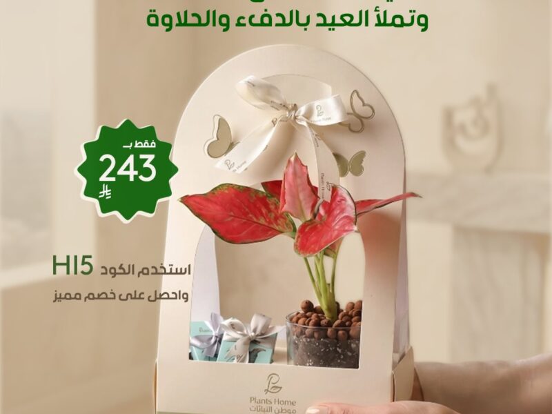 هدايا نباتات العيد من موطن النباتات
