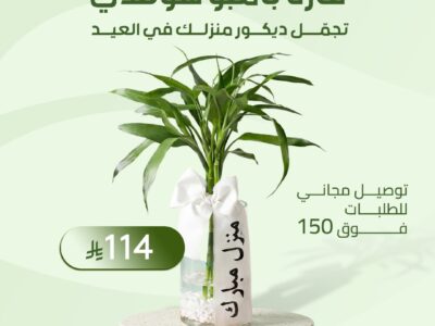 هدايا نباتات العيد من موطن النباتات