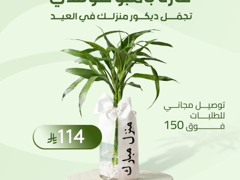 هدايا نباتات العيد من موطن النباتات