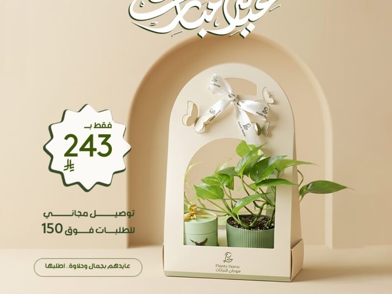 هدايا نباتات العيد من موطن النباتات
