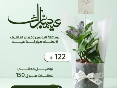 هدايا نباتات العيد من موطن النباتات