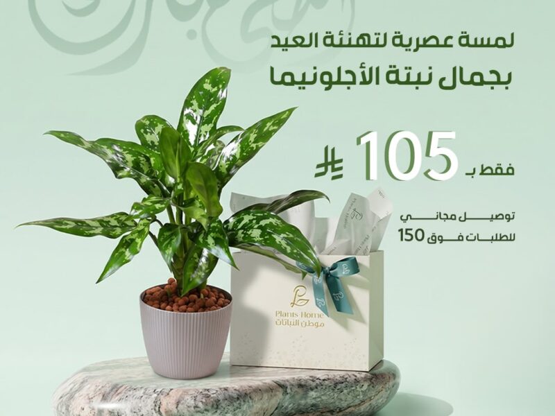 هدايا نباتات العيد من موطن النباتات