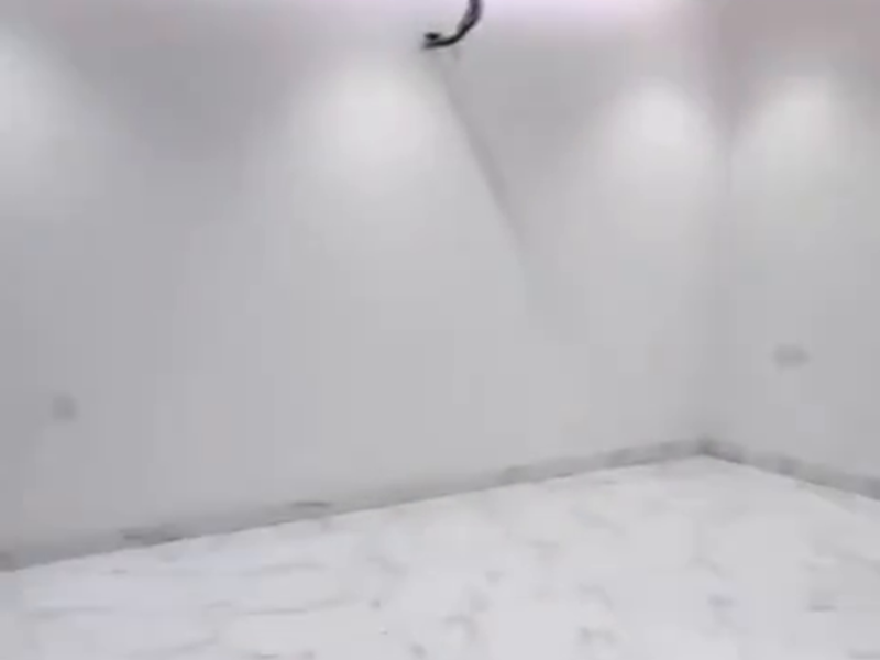 فلل للبيع المدينة المنورة