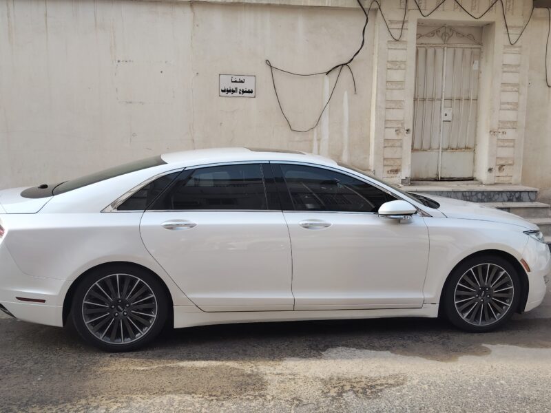 الأحساء