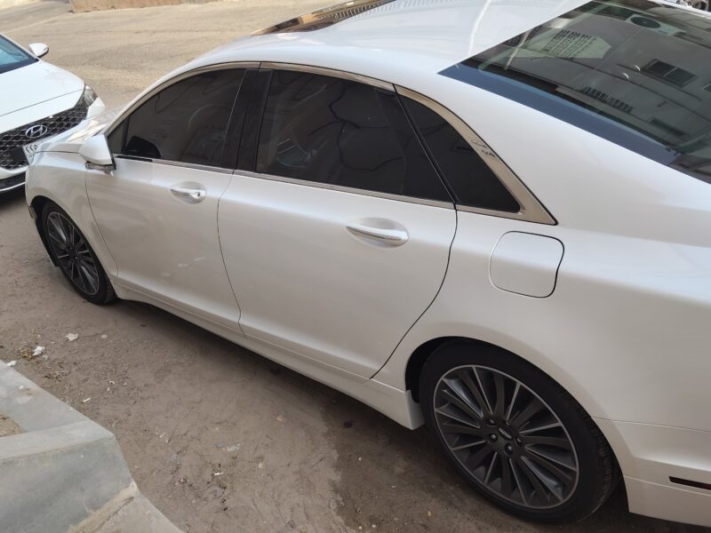 الأحساء