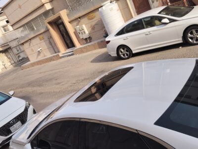 الأحساء