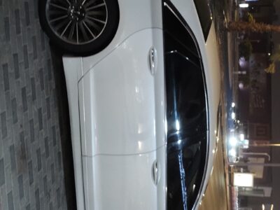الأحساء