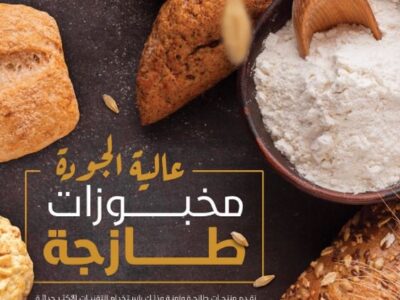 قصر الشركات – أفضل شركة تصميم بروفايل شركات في العالم العربي